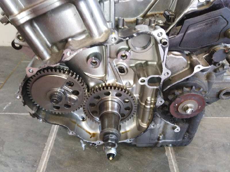 MOTOR