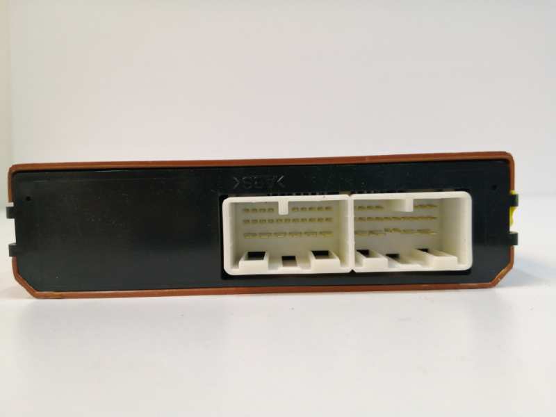 MODULO ELECTRONICO