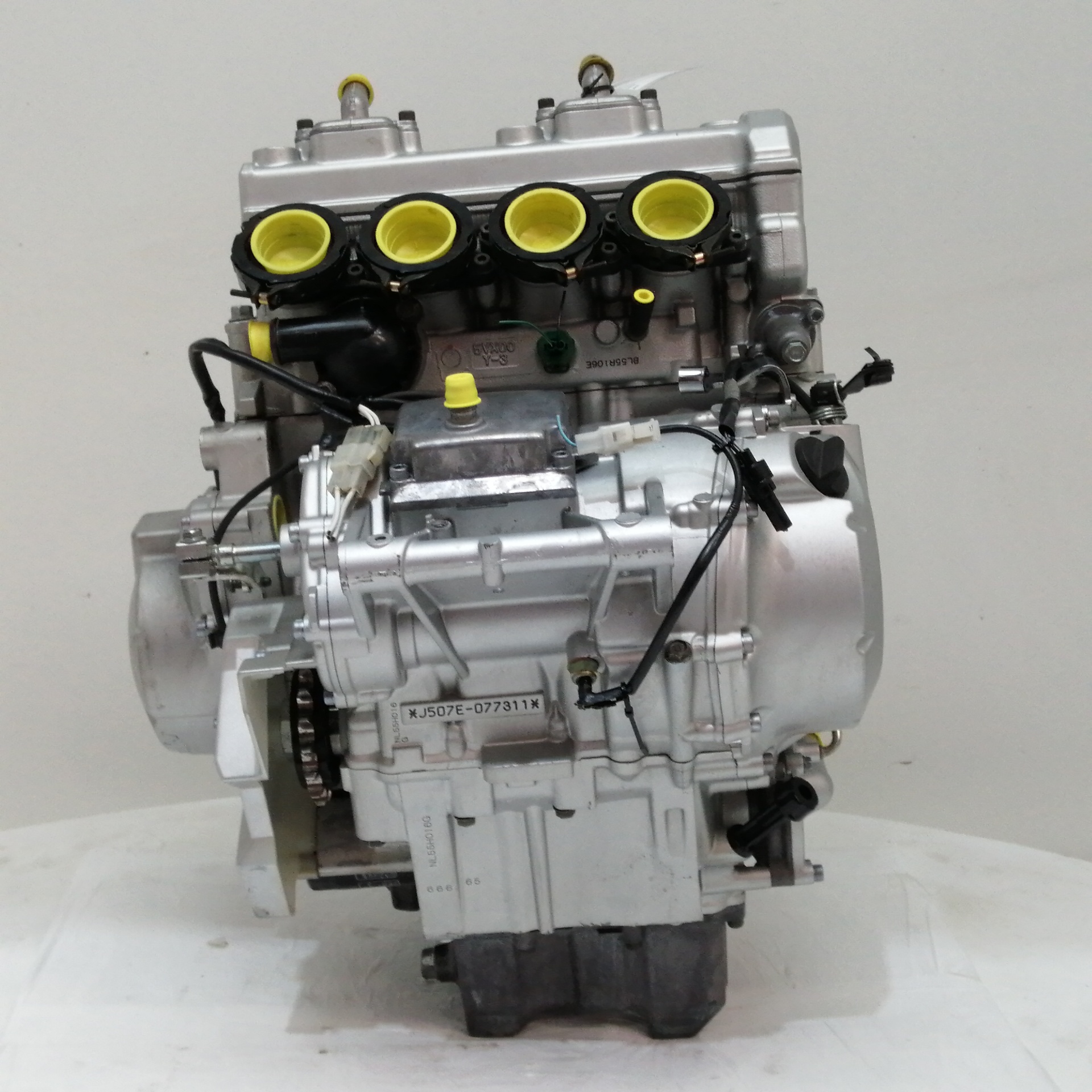 MOTOR