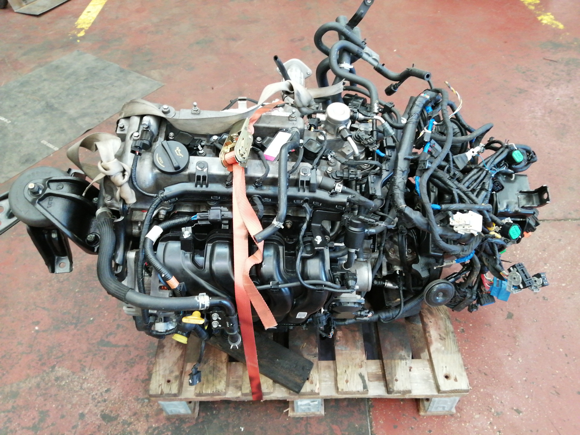 MOTOR COMPLETO