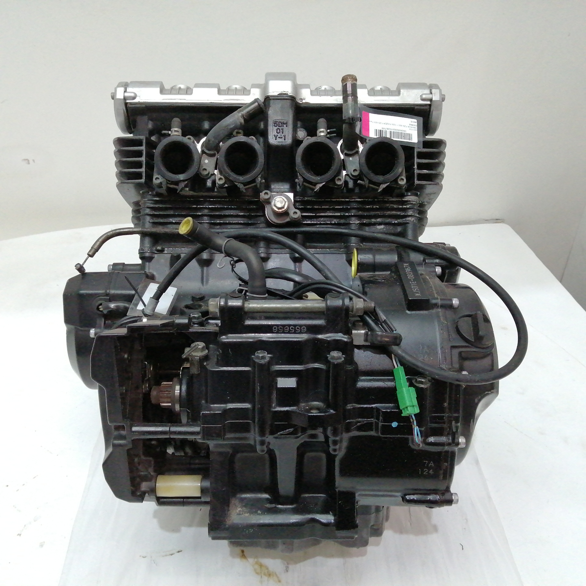 MOTOR