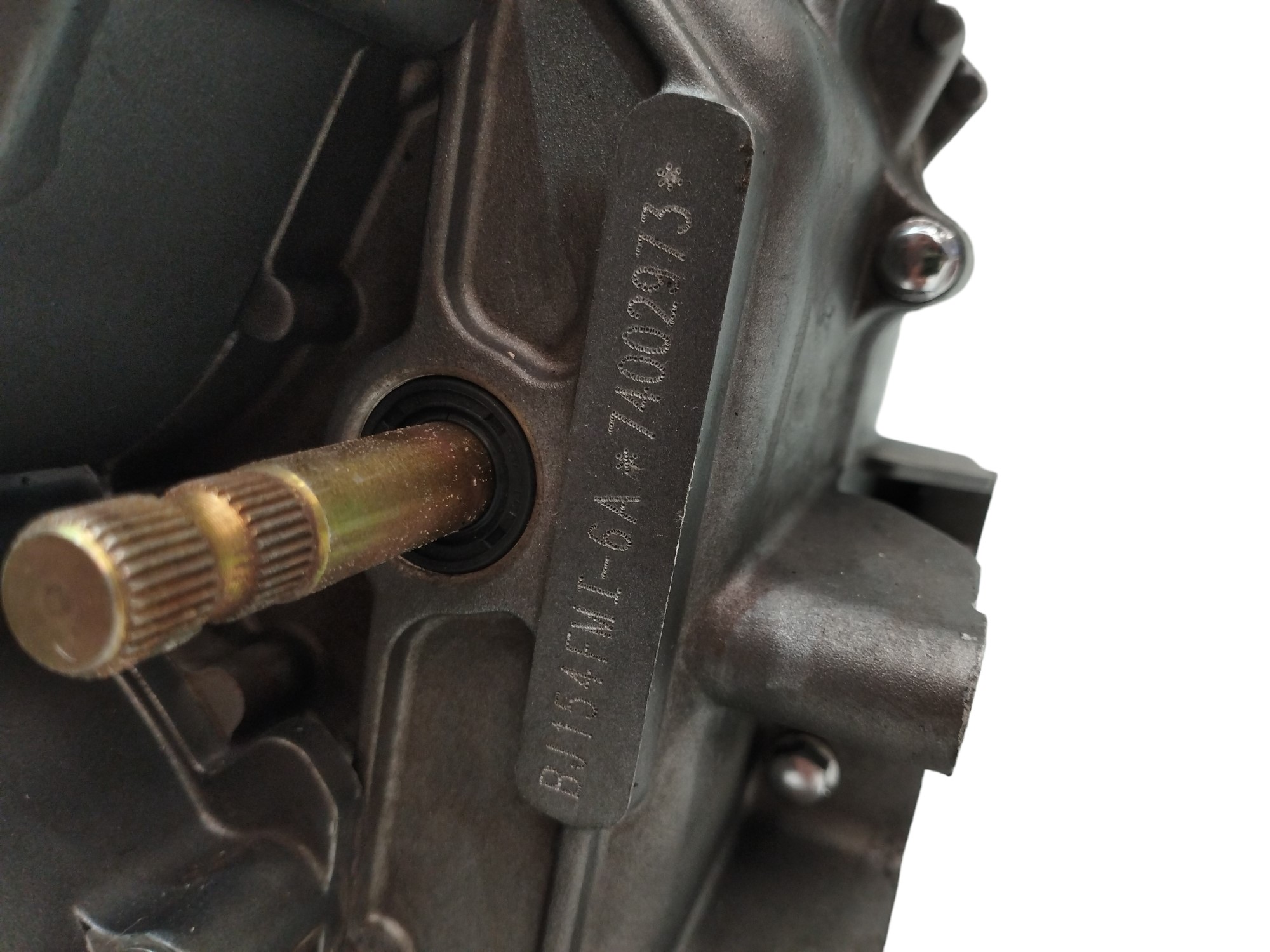 MOTOR