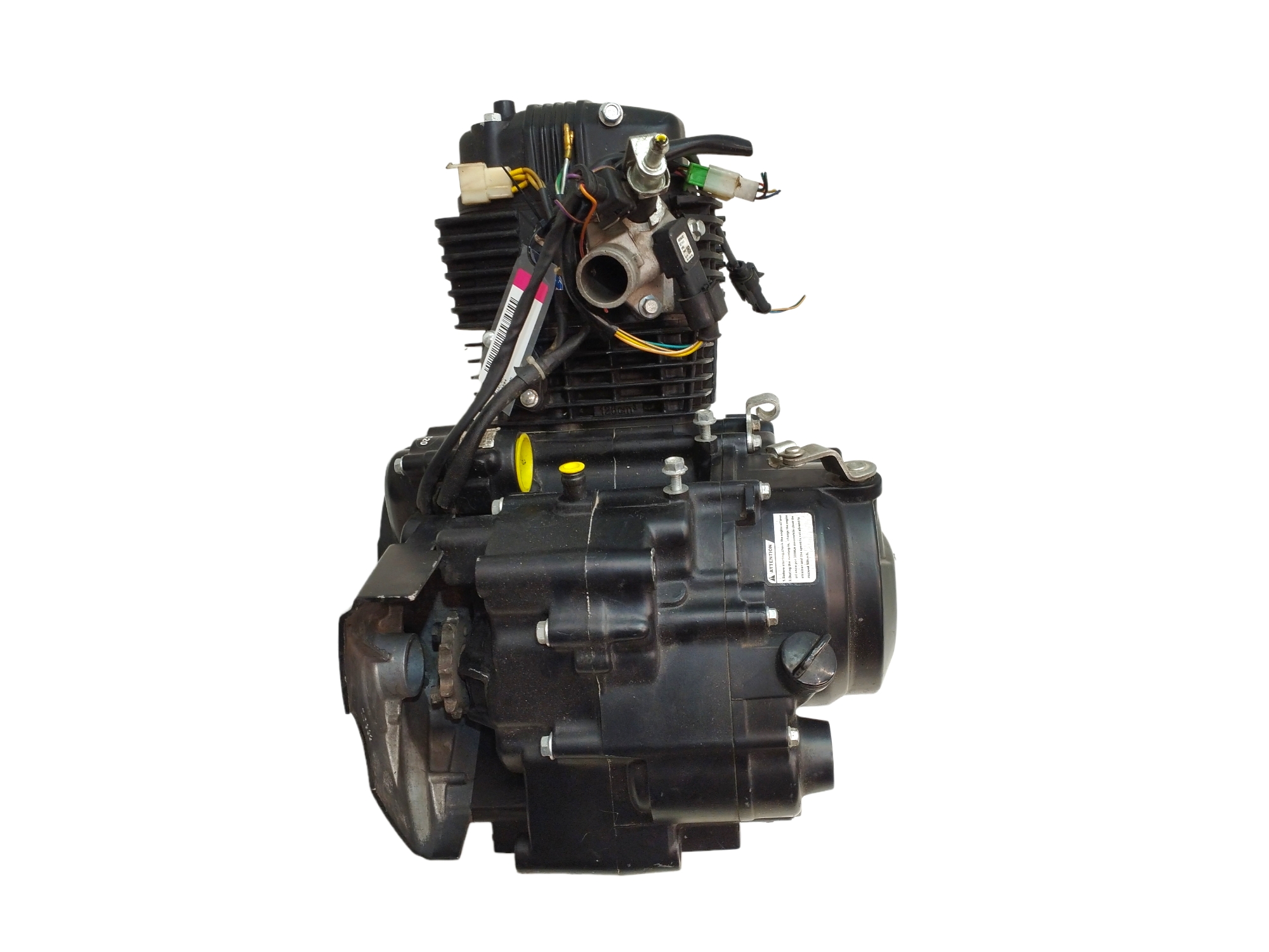 MOTOR