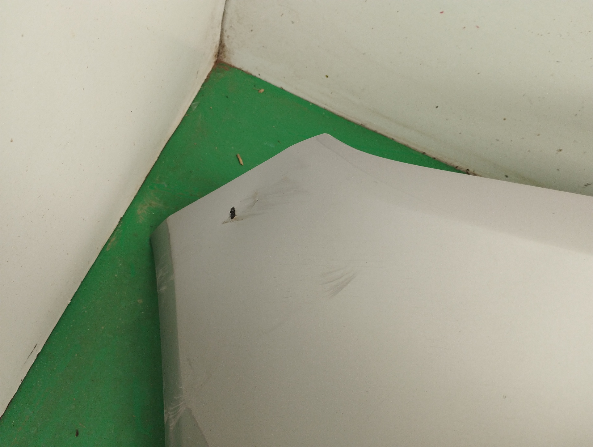 PARAGOLPES DELANTERO