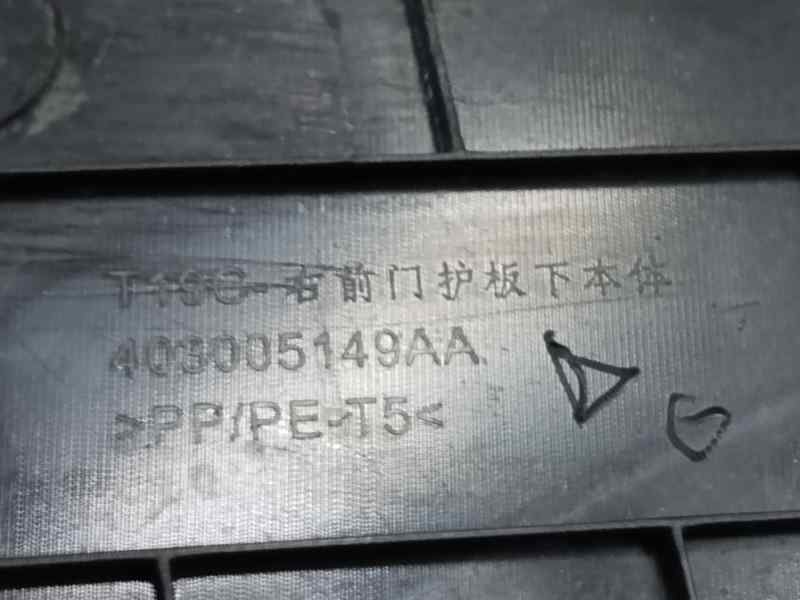 GUARNECIDO PUERTA DELANTERA DERECHA