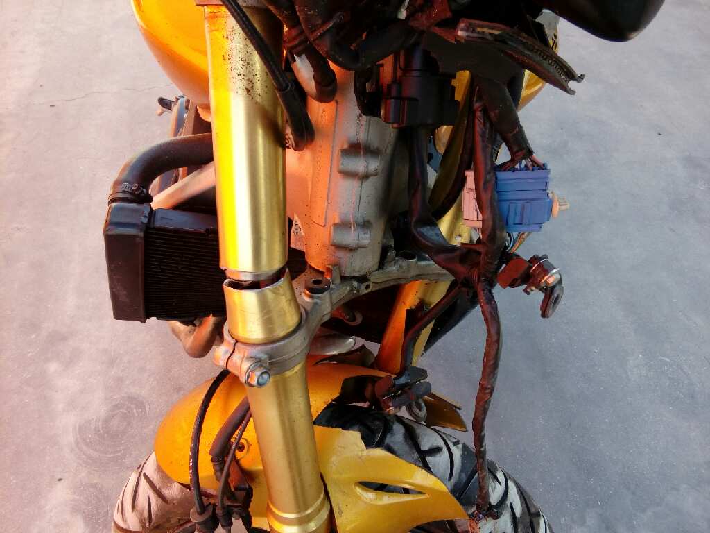 HONDA CB/CBF 600 / 900 HORNET /CBF 1000 1998
