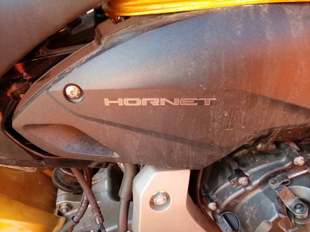 HONDA CB/CBF 600 / 900 HORNET /CBF 1000 1998