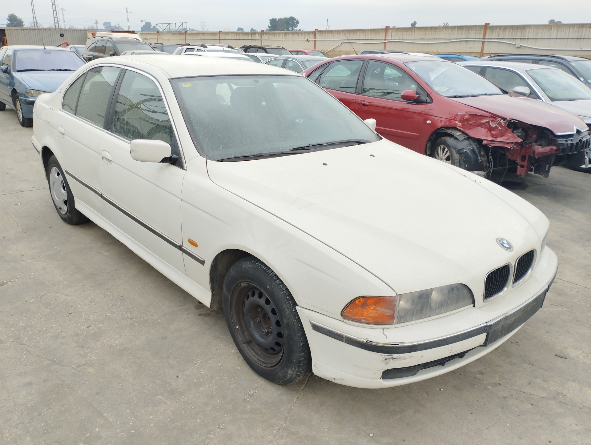 BMW SERIE 5 BERLINA (E39) 1995