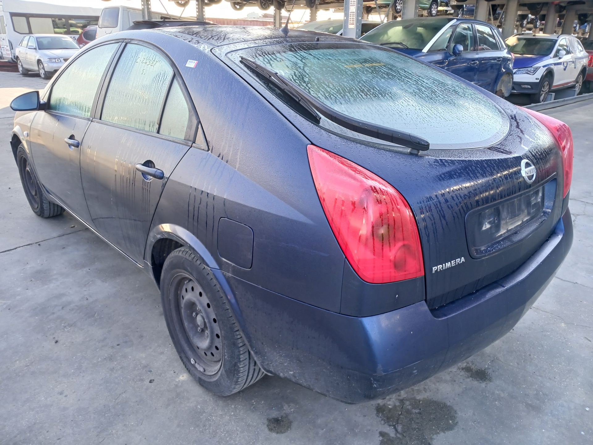 NISSAN PRIMERA BERLINA (P12) 2001