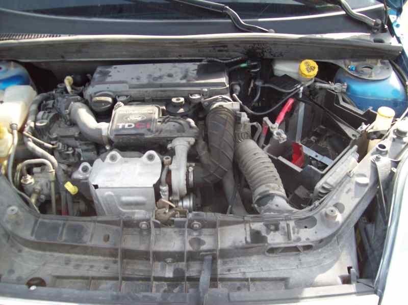 FORD FIESTA (CBK) 2001